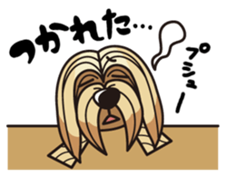 iinu - Lhasa Apso sticker #10939710