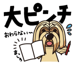 iinu - Lhasa Apso sticker #10939725