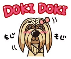 iinu - Lhasa Apso sticker #10939729