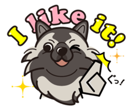 iinu - Keeshond sticker #10940063