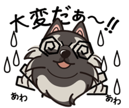 iinu - Keeshond sticker #10940082