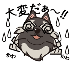 iinu - Keeshond sticker #10940082