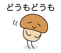 Is the simple KINOKO sticker #10940105