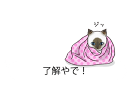 Balloon of Kansai dialect Kitten sticker #10941940