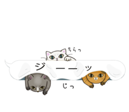 Balloon of Kansai dialect Kitten sticker #10941962