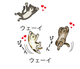 Balloon of Kansai dialect Kitten sticker #10941967