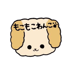 This is my Fluffy Dog.