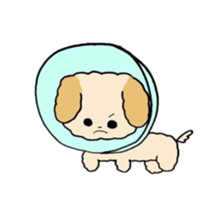 This is my Fluffy Dog. sticker #10944430