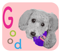 silver toy poodle sticker!! sticker #10944820