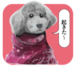 silver toy poodle sticker!! sticker #10944824