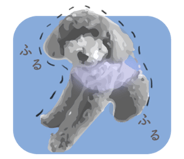 silver toy poodle sticker!! sticker #10944825