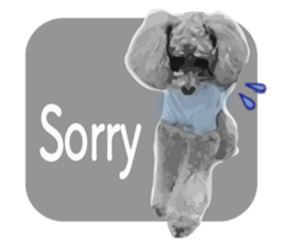 silver toy poodle sticker!! sticker #10944826