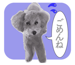 silver toy poodle sticker!! sticker #10944829