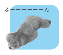 silver toy poodle sticker!! sticker #10944833