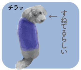 silver toy poodle sticker!! sticker #10944835