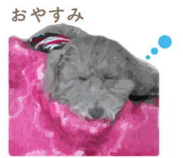 silver toy poodle sticker!! sticker #10944839