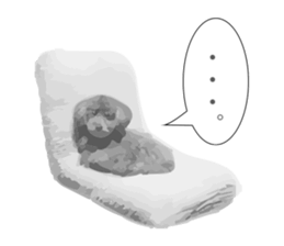 silver toy poodle sticker!! sticker #10944843