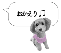 silver toy poodle sticker!! sticker #10944845