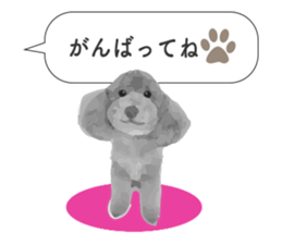 silver toy poodle sticker!! sticker #10944848