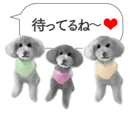 silver toy poodle sticker!! sticker #10944851