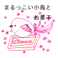 little bird and sweets