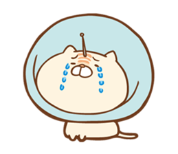 Parabola Antenna Cat Antenyan sticker #10948307