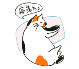 happiness of key tail cat sticker #10948978