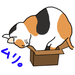 Full of cats every day.