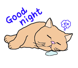 Full of cats every day. sticker #10951953