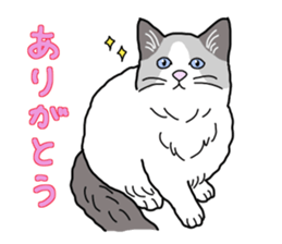 Full of cats every day. sticker #10951954