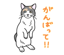 Full of cats every day. sticker #10951956