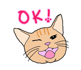 Full of cats every day. sticker #10951958