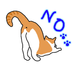 Full of cats every day. sticker #10951959