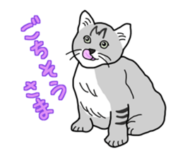 Full of cats every day. sticker #10951961