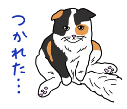 Full of cats every day. sticker #10951962