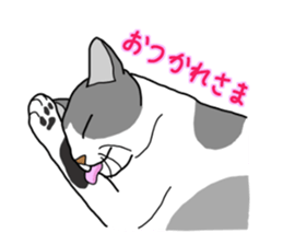 Full of cats every day. sticker #10951963