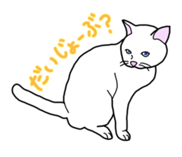 Full of cats every day. sticker #10951964