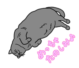 Full of cats every day. sticker #10951969