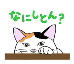 Full of cats every day. sticker #10951970