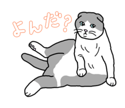 Full of cats every day. sticker #10951973
