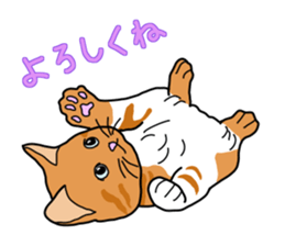 Full of cats every day. sticker #10951974