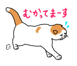 Full of cats every day. sticker #10951976