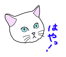 Full of cats every day. sticker #10951977