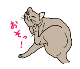 Full of cats every day. sticker #10951978