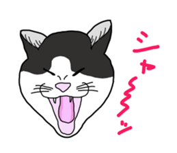 Full of cats every day. sticker #10951980