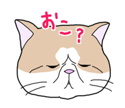 Full of cats every day. sticker #10951981