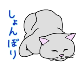 Full of cats every day. sticker #10951982