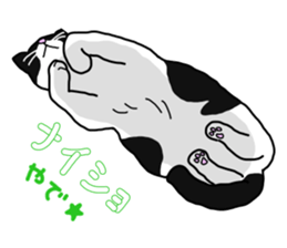 Full of cats every day. sticker #10951983