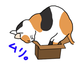 Full of cats every day. sticker #10951984