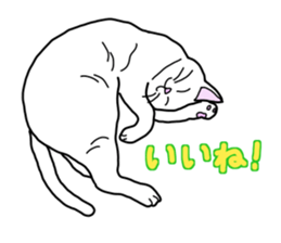 Full of cats every day. sticker #10951985